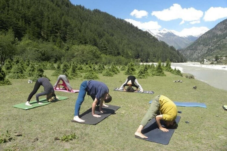 Samatva Yogalaya Ashram offers 300 Hour Yoga Teacher Training Course in Rishikesh with RYT 300 Yoga Alliance certification